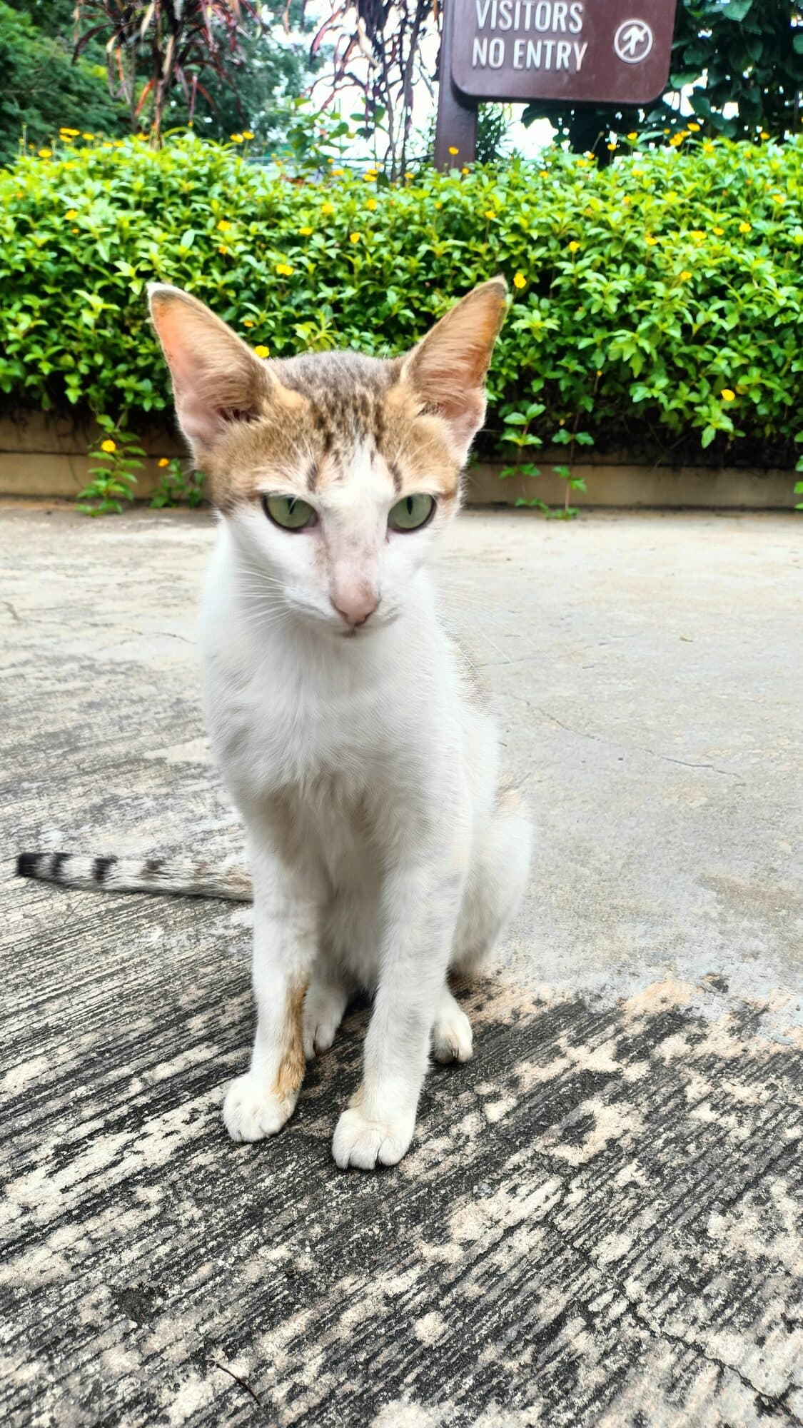 A Second Glance